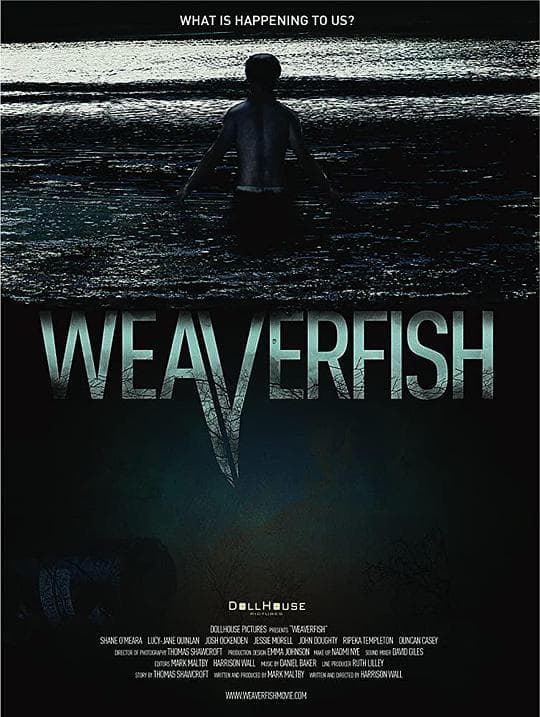 weaverfish