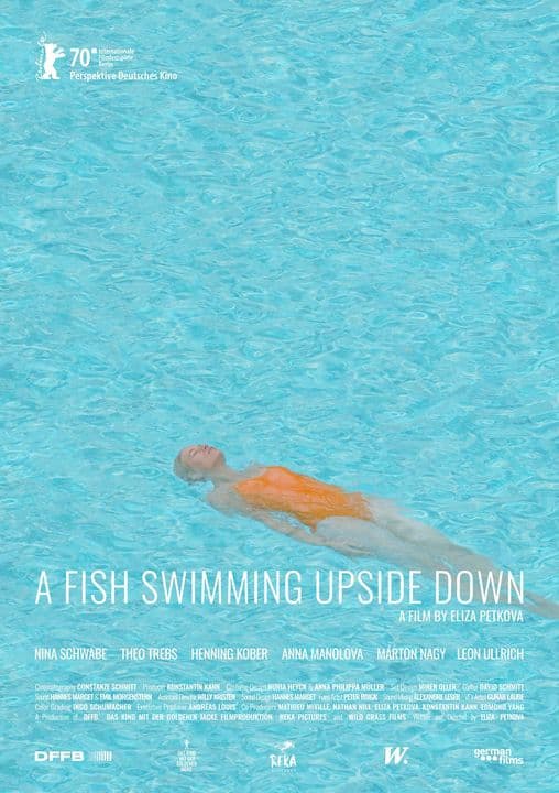 A Fish Swimming Upside Down