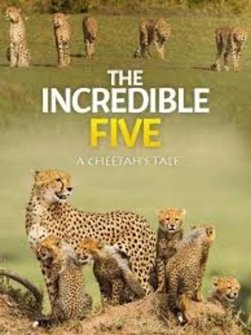 The Incredible Five A Cheetah's Tale