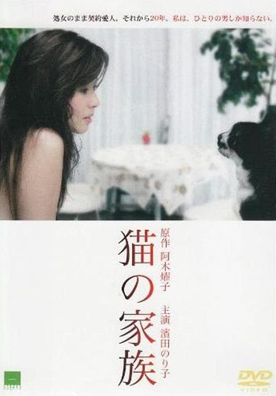 猫的家族