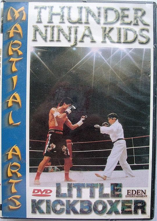 Little Kickboxer