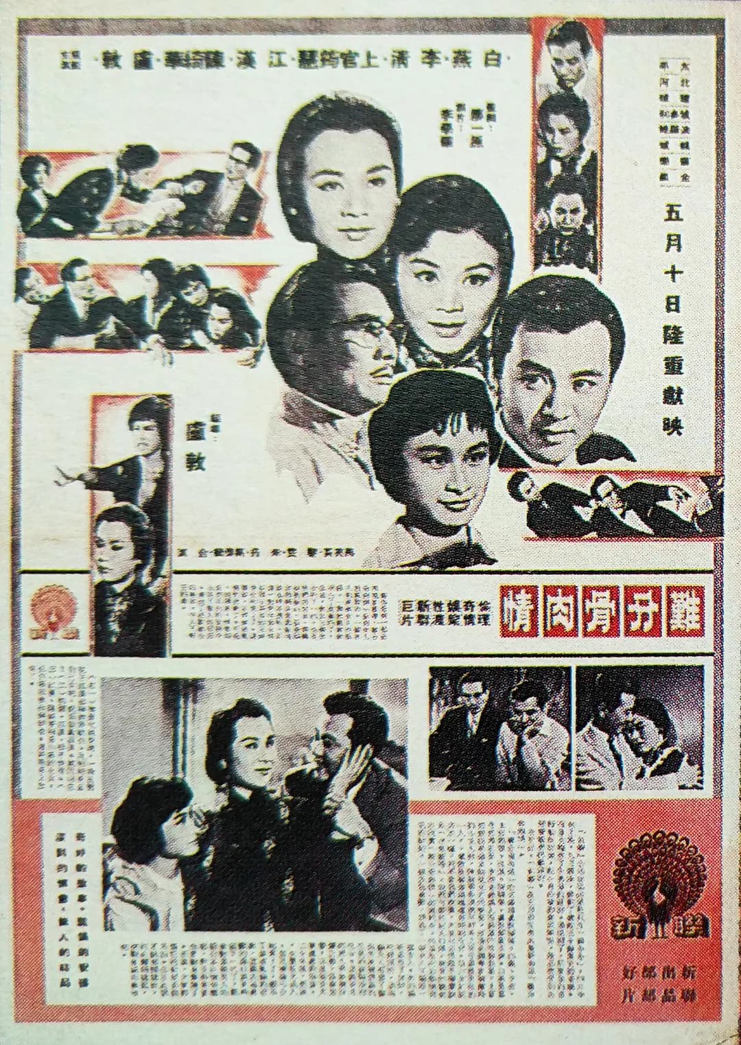 难分骨肉情