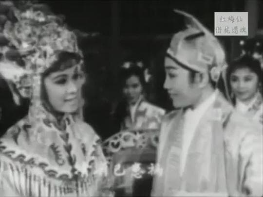 红梅仙借尸还魂