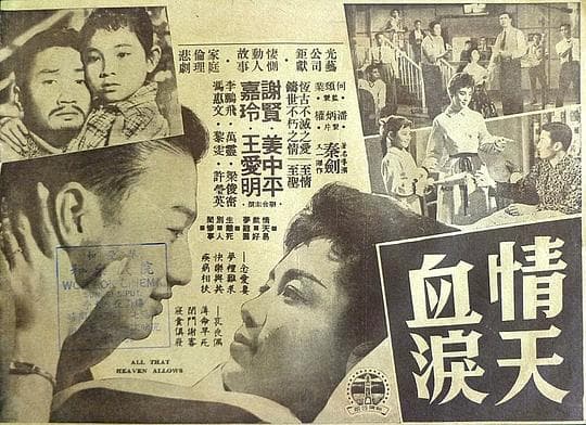情天血泪
