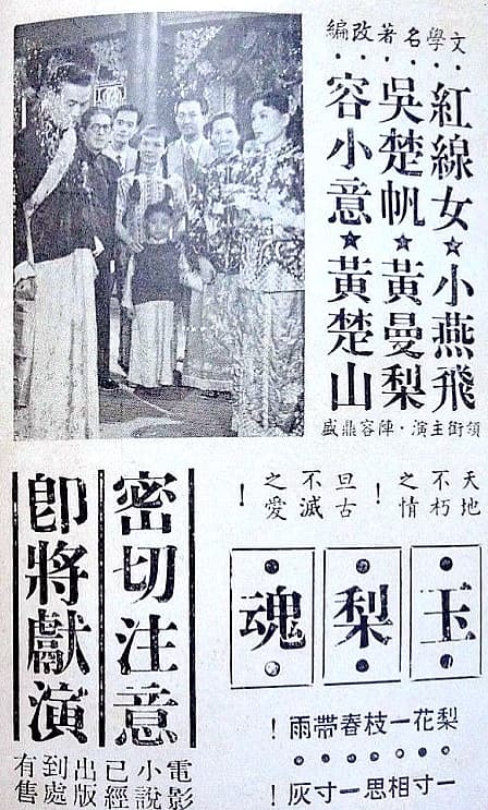 玉梨魂