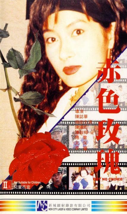 赤色玫瑰