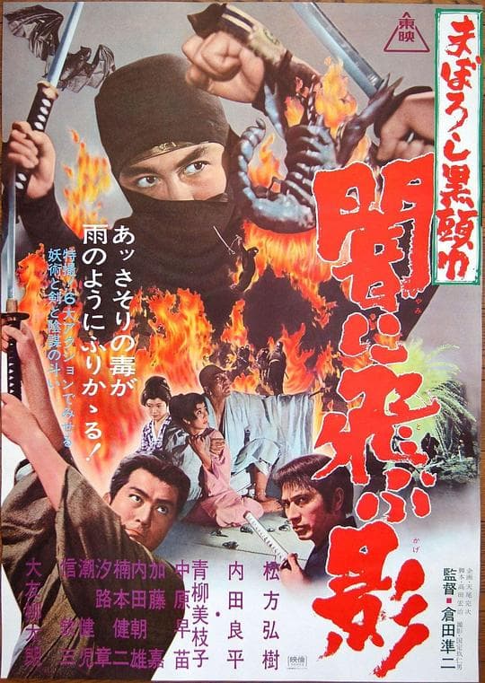 まぼろし黒頭巾 闇に飛ぶ影