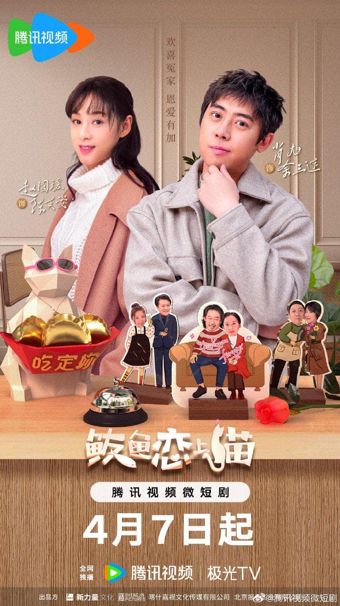 鲅鱼爱上猫