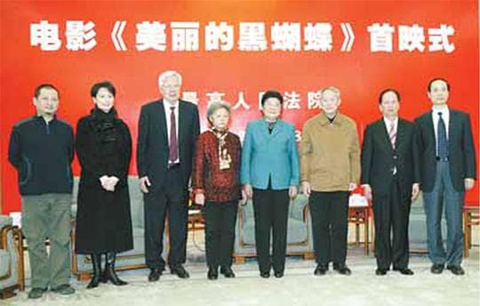 美丽的黑蝴蝶