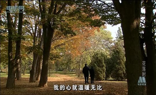 花落时节