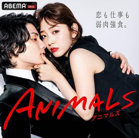 ANIMALS 归国篇