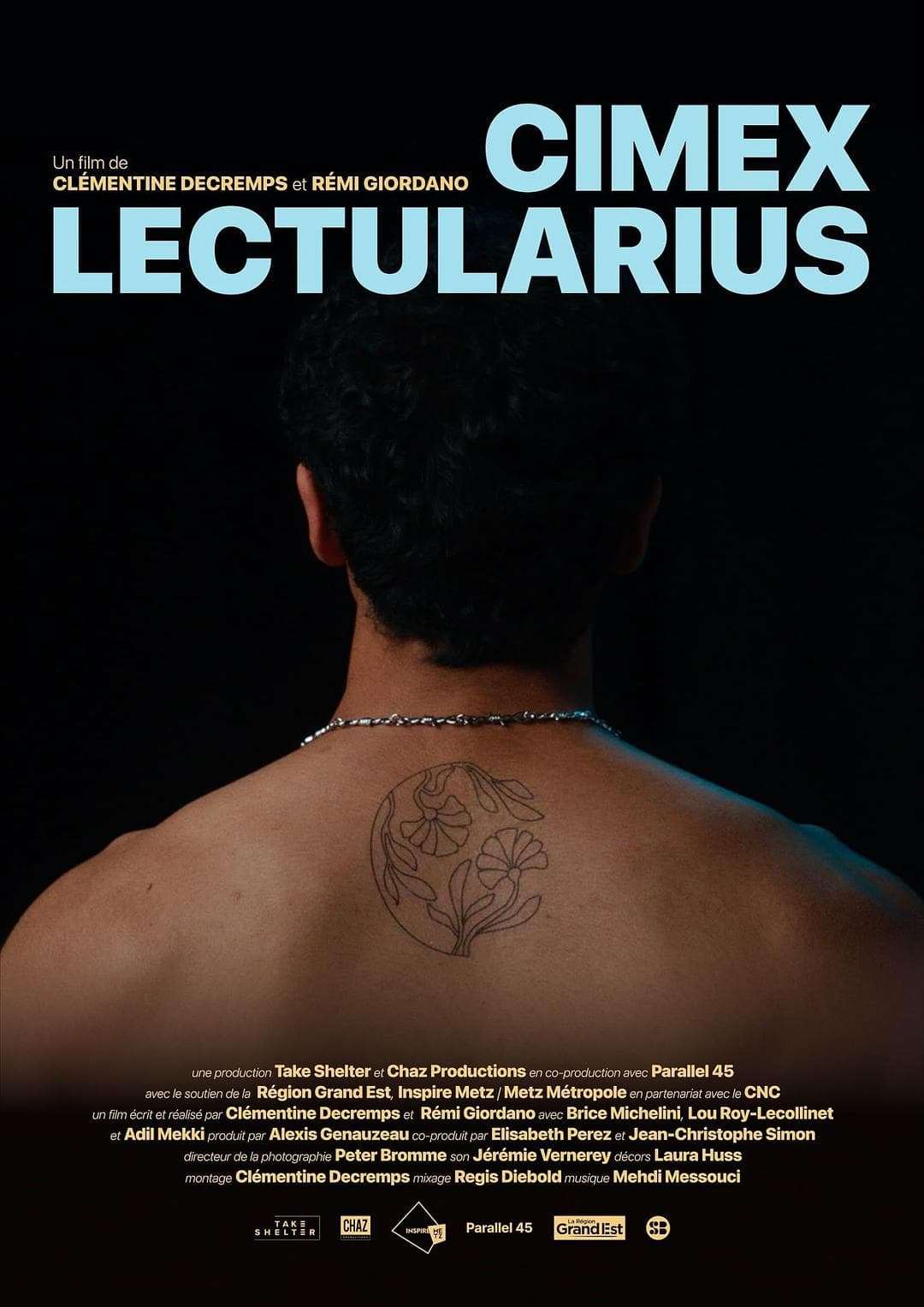 Cimex Lectularius