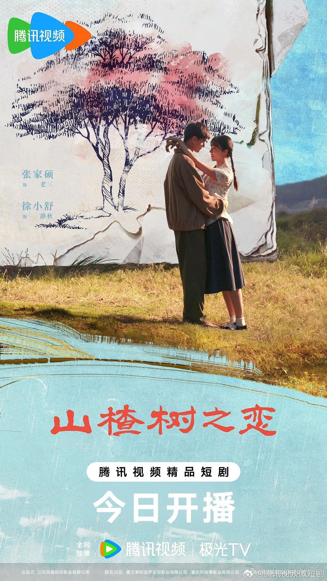 山楂树之恋