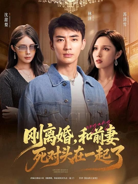 刚离婚，和前妻死对头在一起了