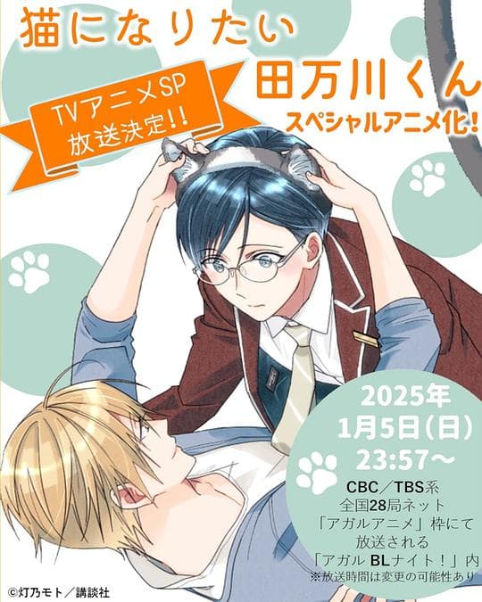 想变成猫的田万川君