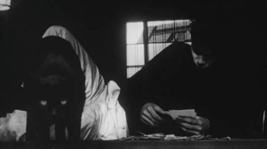 男孩与猫