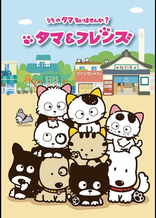 猫狗宠物街