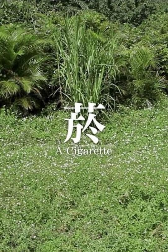 烟