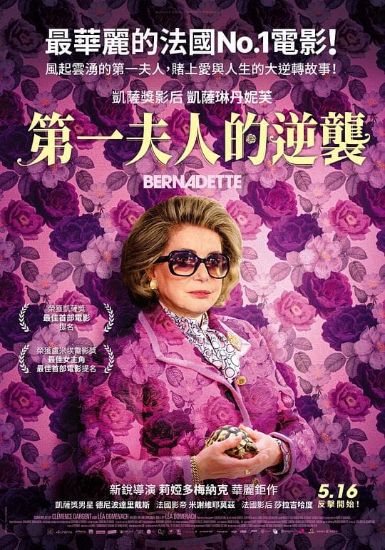 第一夫人的逆袭