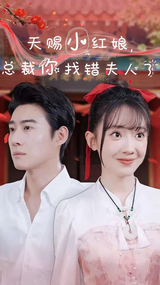 天赐小红娘，总裁你找错夫人了