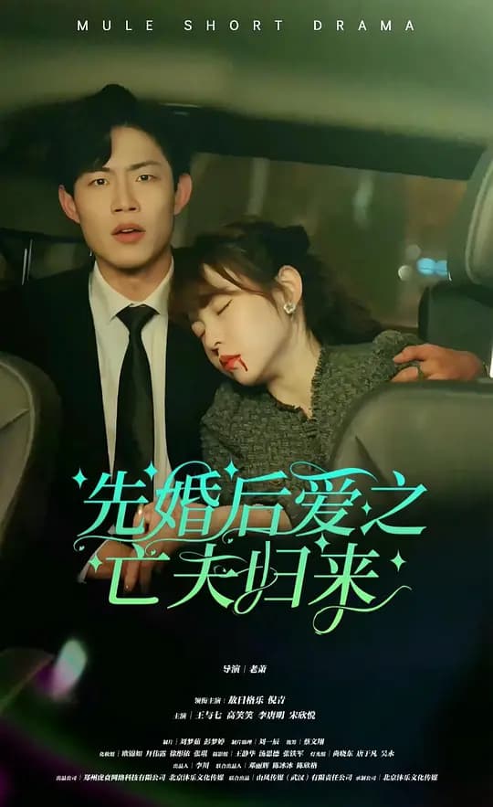 先婚后爱之亡夫归来