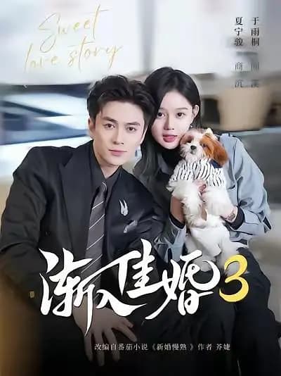 渐入佳婚3
