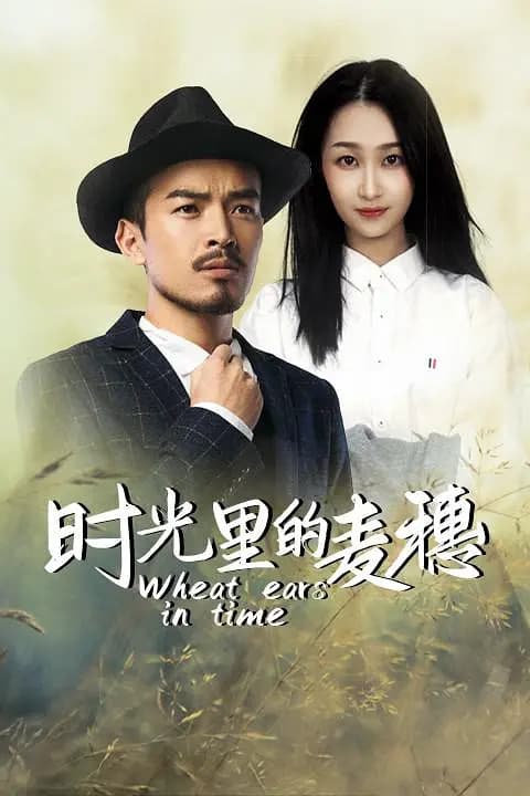 时光里的麦穗