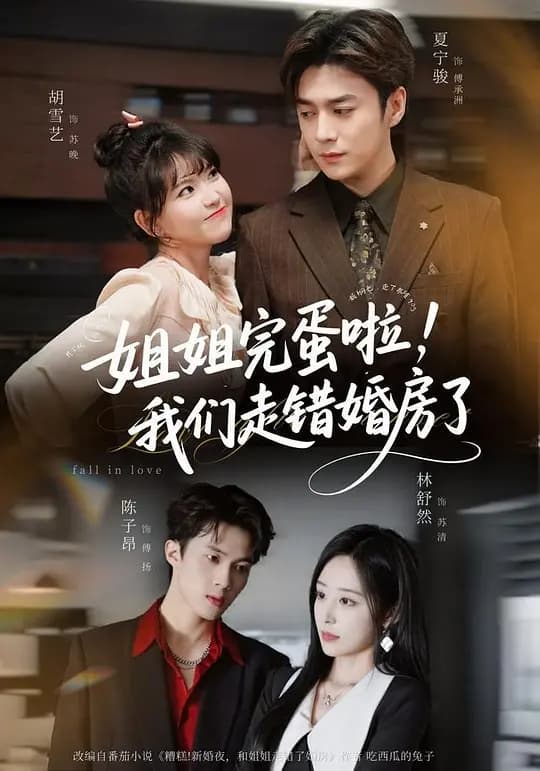 姐姐完蛋啦，我们走错婚房了