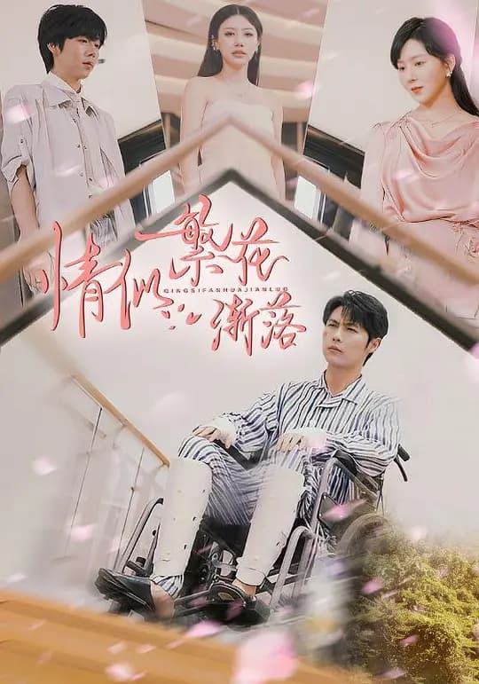 情似繁花渐落