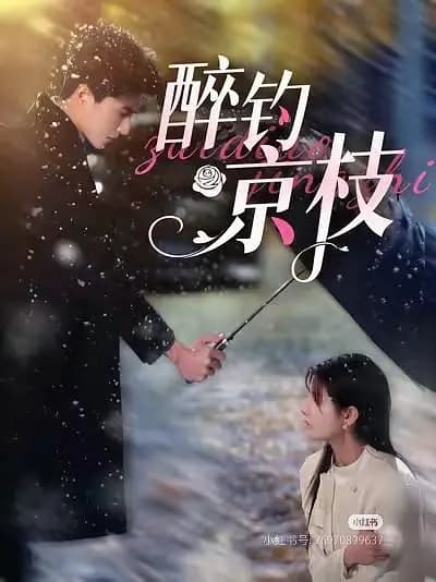 醉钓京枝