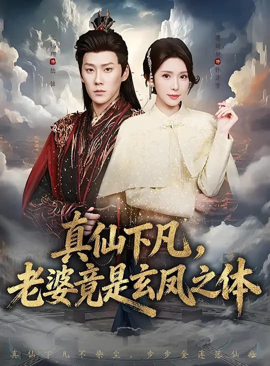 真仙下凡，老婆竟是玄凤之体
