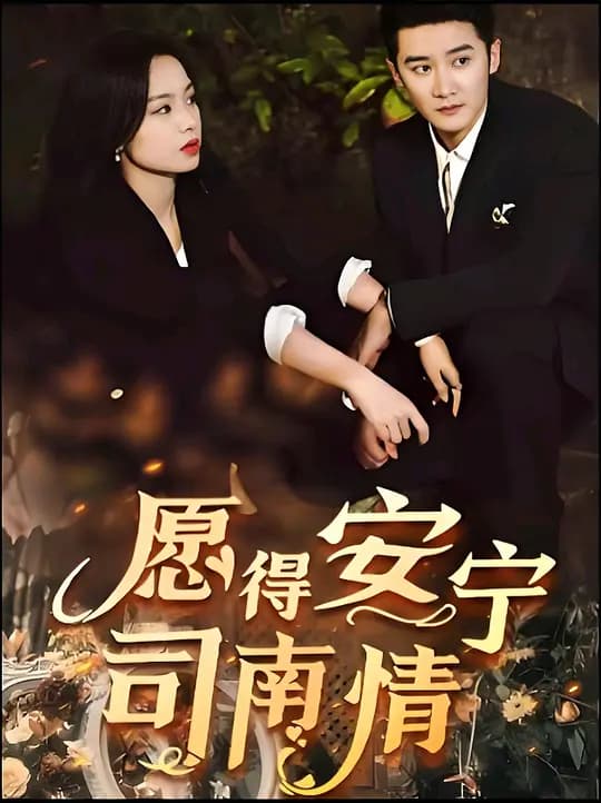 愿得安宁司南情