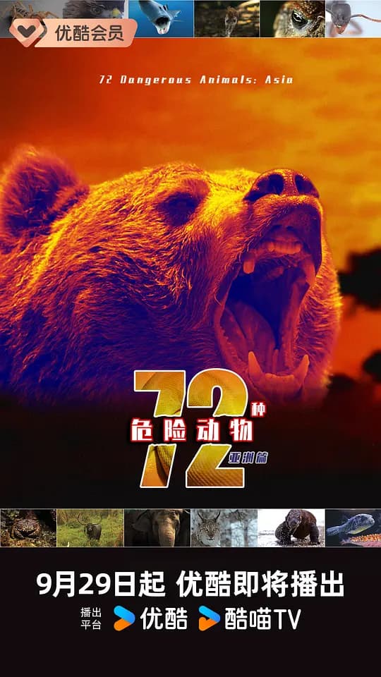 72种危险动物——亚洲篇 第一季