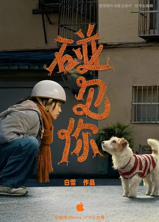碰见你