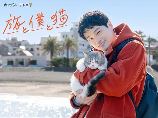 旅行和我和猫