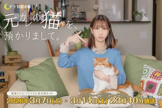 我收留了前男友的猫