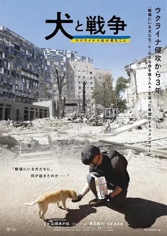 犬与战争 我的乌克兰见闻