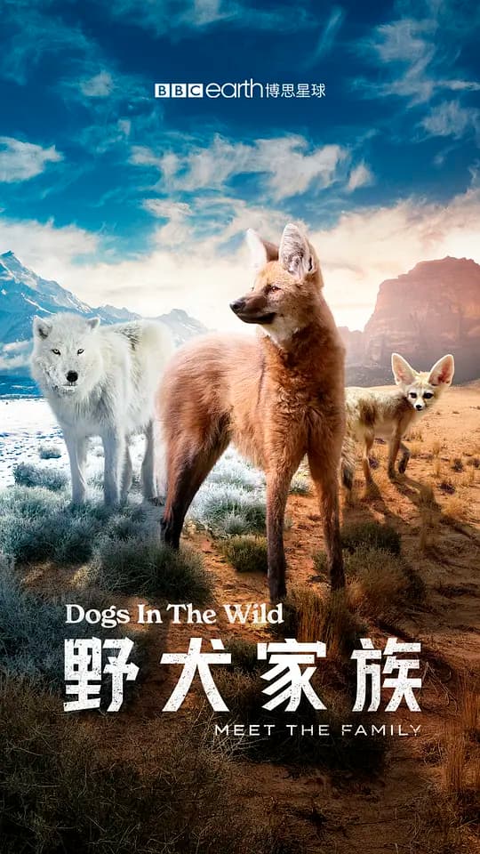 野犬家族