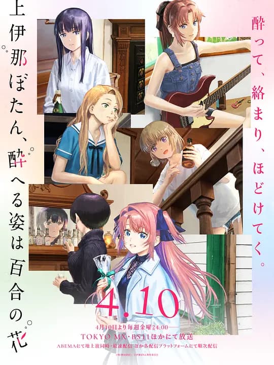 上伊那牡丹,酒醉身姿似百合花般