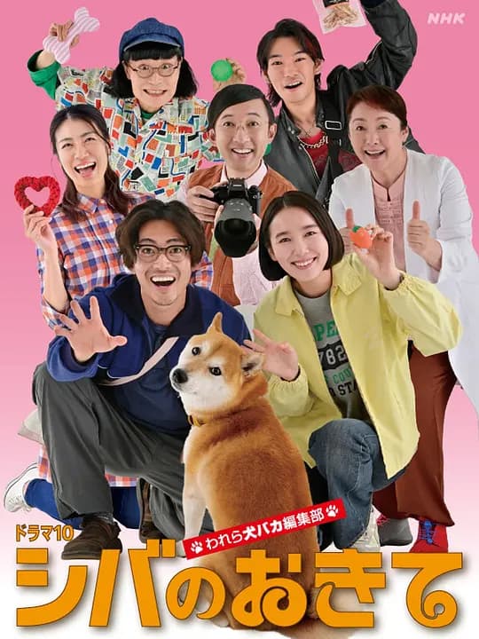 柴犬的规矩～我们这群狗痴编辑部～
