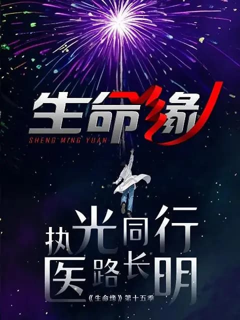 生命缘 第十五季