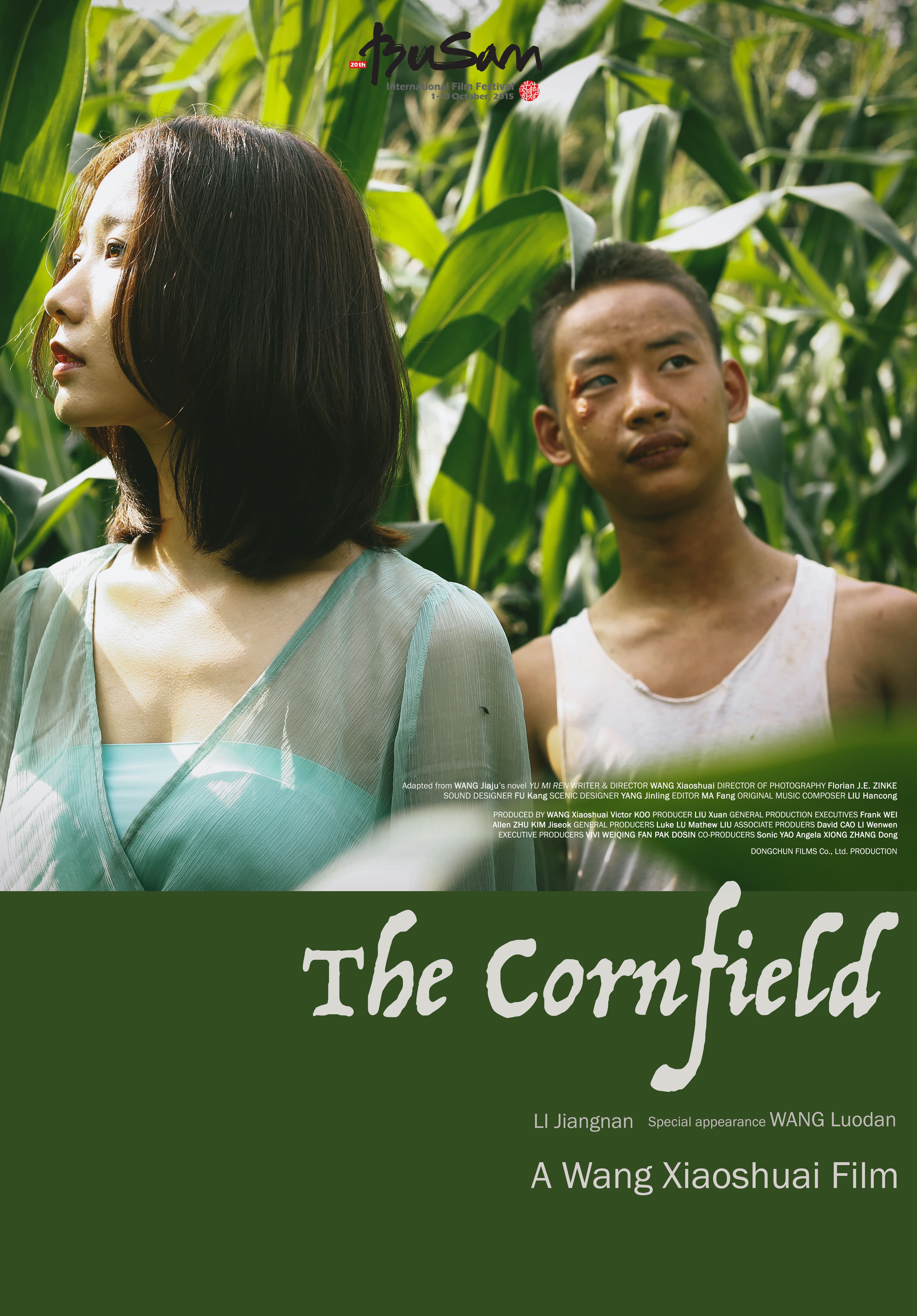The Cornfield
