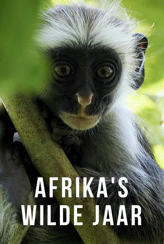Africa's wild year Season 1